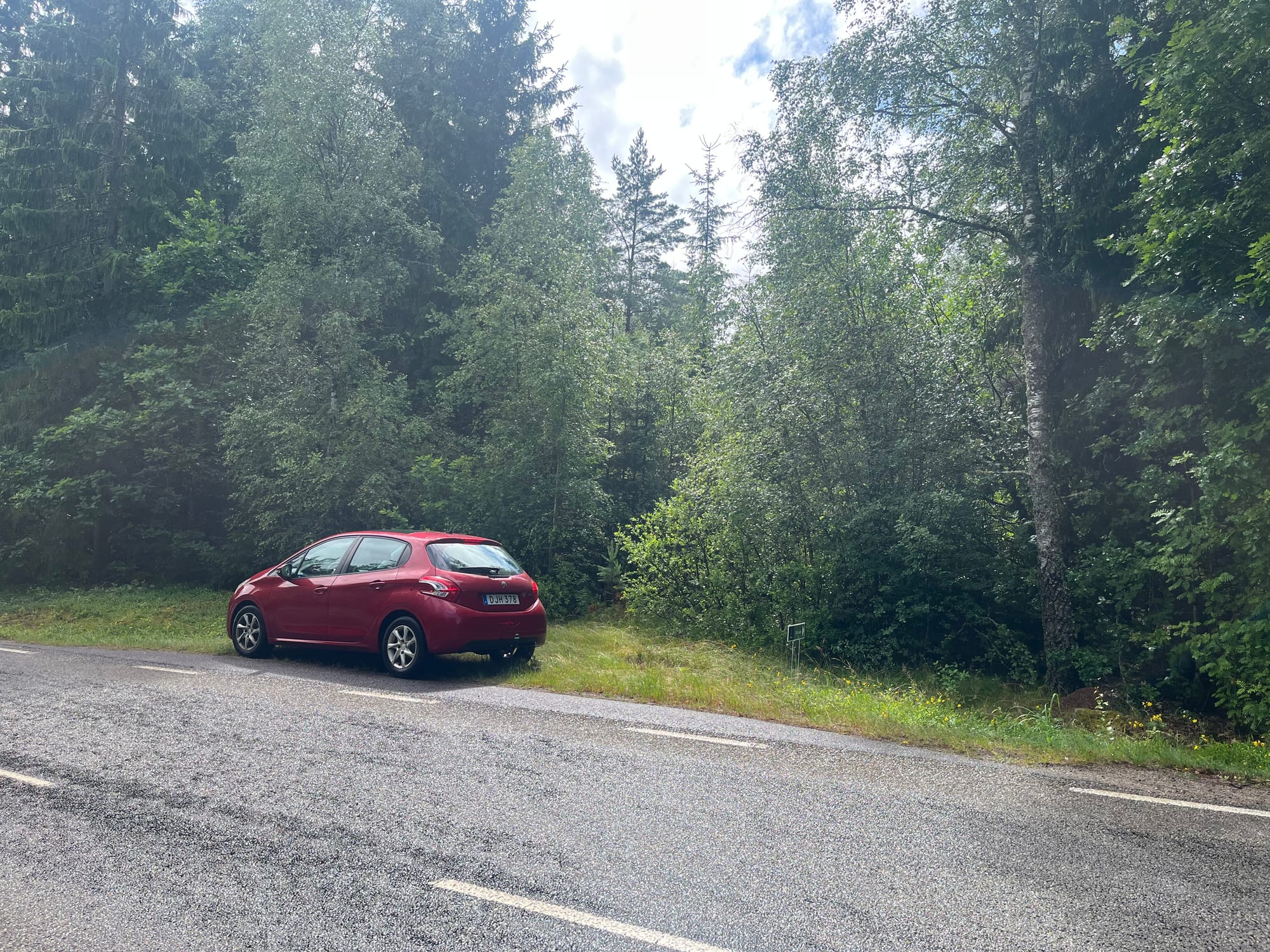 Jakten på min drömskog: Det här letar jag efter