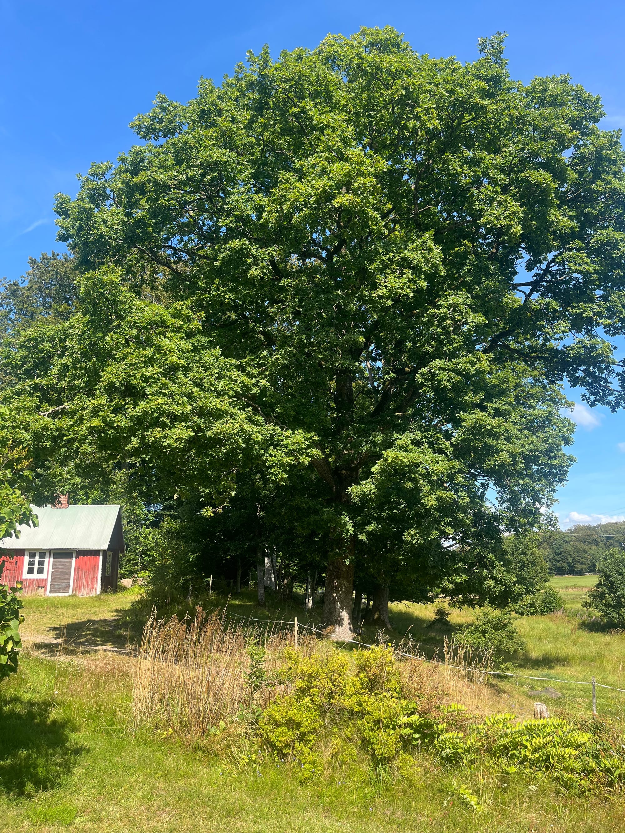 Möjligheternas gård