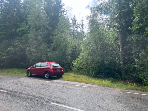 Jakten på min drömskog: Det här letar jag efter