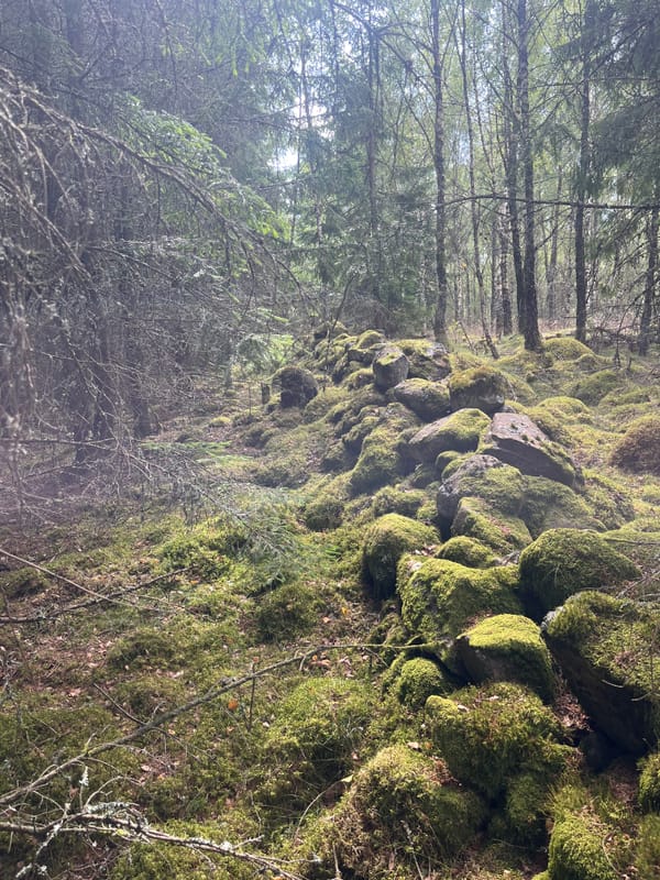 Budgivning Forsa